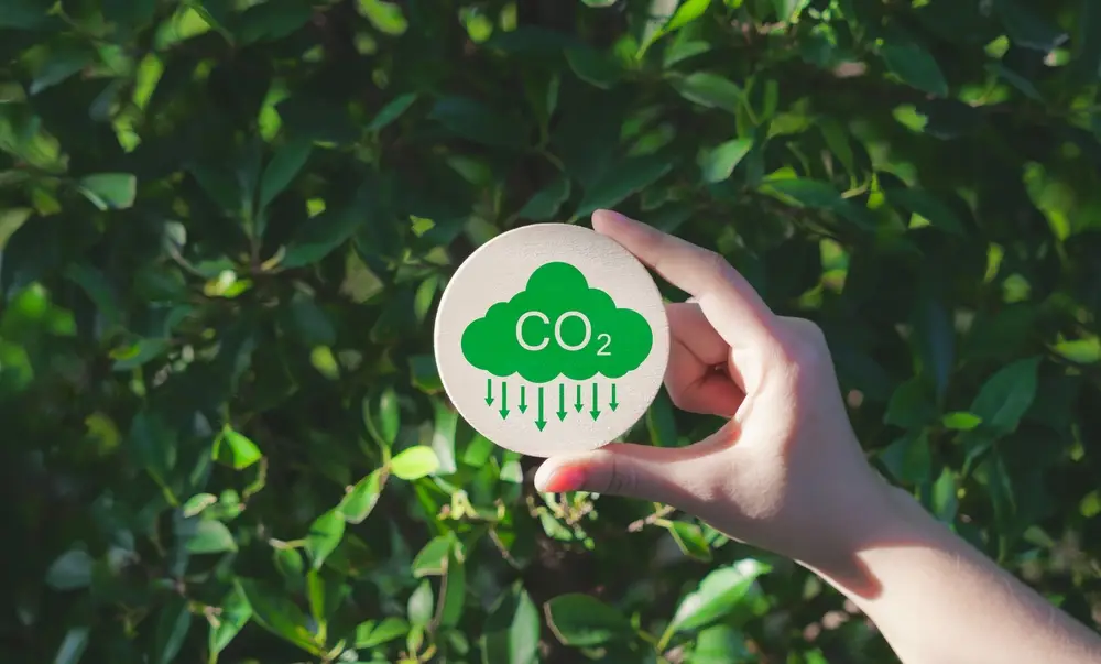 carbon emission